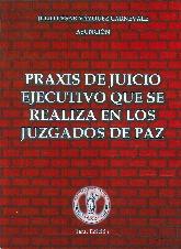 Praxis en juicio ejecutivo que se realiza en los juzgados de paz