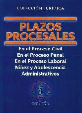 Plazos Procesales