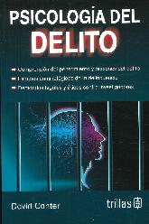 Psicologa del delito