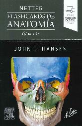 Flashcards de anatoma Netter