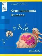 Neuroanatoma Humana