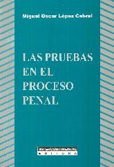 Las pruebas en el proceso Penal