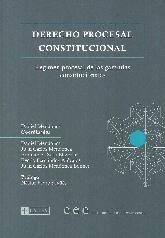 Derecho Procesal Constitucional