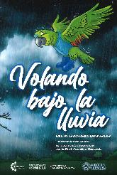 Volando bajo la lluvia