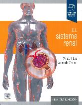 El sistema renal