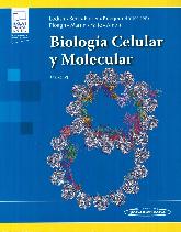 Biologa Celular y Molecular