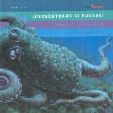 Encuntrame si puedes!