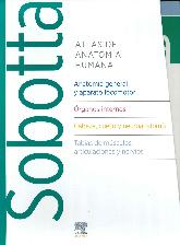 Atlas de Anatoma humana 3 volmenes Tablas SOBOTTA