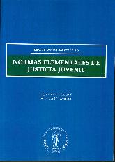 Normas elementales de justicia juvenil