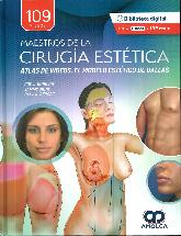 Maestros de la ciruga esttica