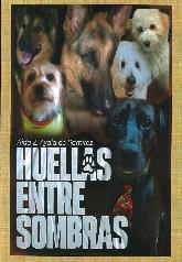 Huellas entre sombras