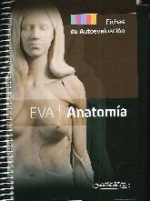 EVA Anatoma Fichas de autoevaluacin