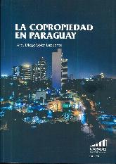 La copropiedad en Paraguay