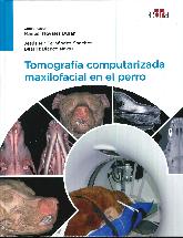 Tomografa computarizada maxilofacial en el perro