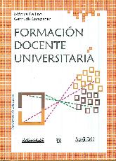 Formacin docente universitaria