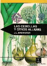 Las Cebollas y  otros  Alliums