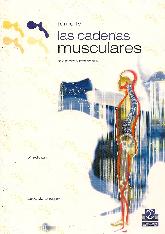 Las cadenas musculares IV