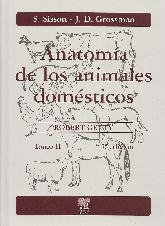 Anatoma de los Animales Domsticos - 2 Tomos