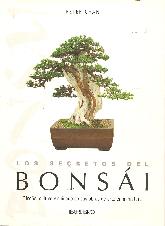 Los secretos del Bonsai