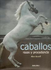 Caballos razas y procedencia