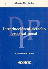 Introduccion al derecho procesal penal