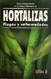 Hortalizas plagas y enfermedades