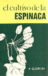 El cultivo de la espinaca