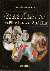 Cartlago articular de la rodilla