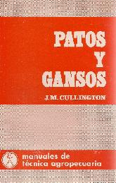 Patos y Gansos