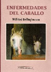 Enfermedades del caballo