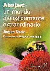 Abejas: un mundo biolgicamente extraordinario