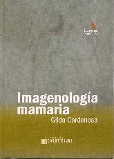 Imagenologa Mamaria