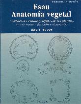 Esau Anatoma Vegetal