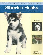 Siberian Husky