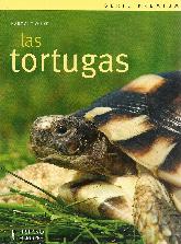 Las tortugas