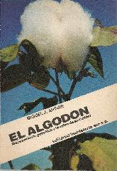 El Algodn 