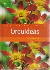 Orqudeas. Jardn Prctico