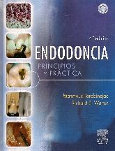 Endodoncia. Principios y Prctica