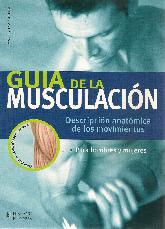 Guia de la musculacion