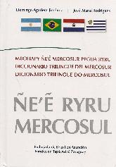 Ñe'e Ryru Mercosul