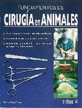 Fundamentos de Ciruga en Animales