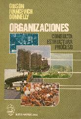 Organizaciones Conducta Estructura Proceso