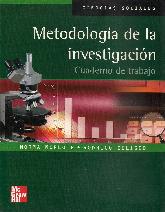 Metodologa de la investigacin