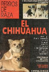 El Chihuhua