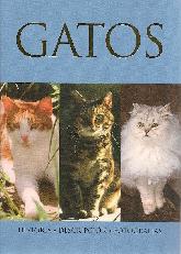 Gatos