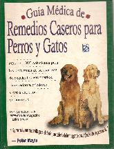 Remedios caceros para los gatos y perros