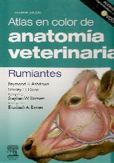Atlas en Color de Anatoma Veterinaria - Rumiantes