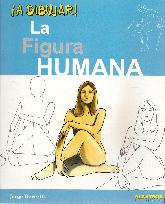 La Figura Humana A Dibujar!