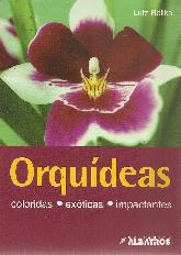 Orquideas