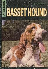 Basset Hound